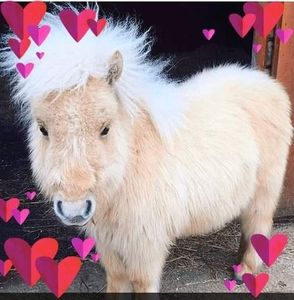 Meet your Posher, Becky